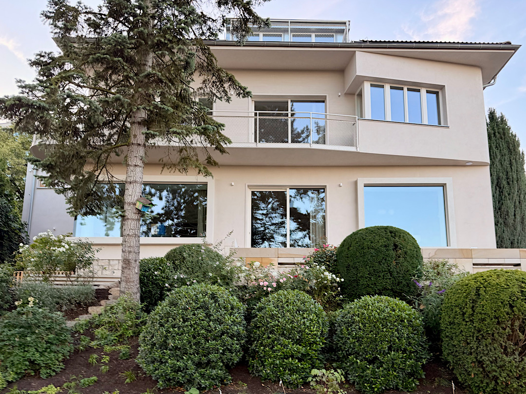 The front of Vila Wolf, a bright modern house with tall windows behind a garden of roses and clipped box